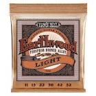 Ernie Ball Earthwood Phosphor Bronze Medium Light