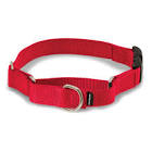 PetSafe Martingale Collar