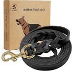 Fairwin Leather Dog Leash