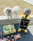 Happy Dog Barkery Pupcake Kit