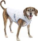 Kurgo Core Cooling Vest