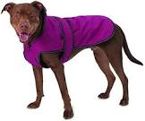 PetRageous Designs Juneau Dog Rain Jacket