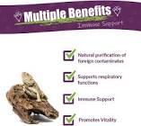 Reptile Specialist Consultation Service