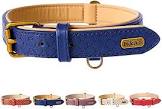 Luxury Leather Dog Collar