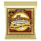 Ernie Ball Earthwood
