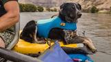 Ruffwear Float Coat Dog Life Jacket