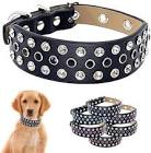 Rhinestone Studded Dog Collar