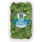 Organic Baby Spinach