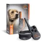 SportDOG Brand 425X Remote Trainers