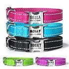 Personalized Nylon Dog Collar