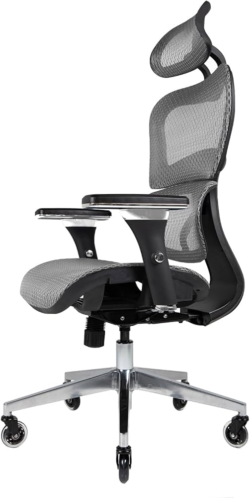 NOUHAUS Ergo3D Ergonomic Office Chair