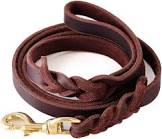 Fairwin Braided Leather Dog Leash