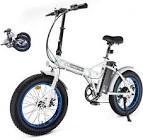 Ecotric 20" Folding Electric Bike