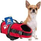 Paws Aboard Doggy Life Jacket