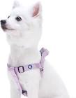 Blueberry Pet Essentials Classic Collar