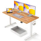 Fezibo Electric Standing Desk
