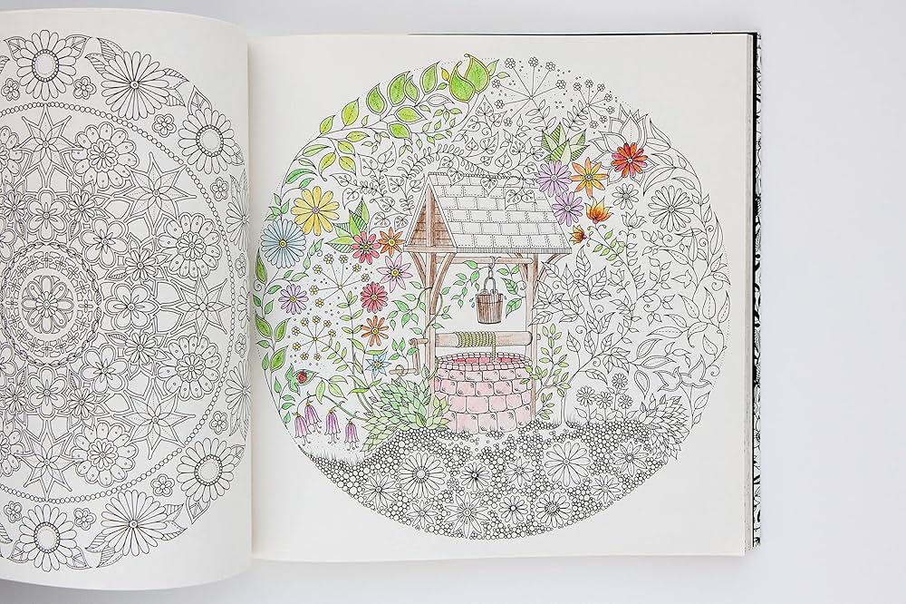 Secret Garden: An Inky Treasure Hunt and Coloring Book