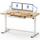 FLEXISPOT 55-Inch Electric Standing Desk