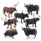 Water Buffalo
