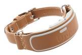 Link AKC Smart Collar