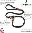 Mendota Slip Lead
