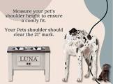 Pioneer Pet Personalized Elevated Dog Bowl