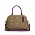 Coach Women's Mini Lillie Carryall