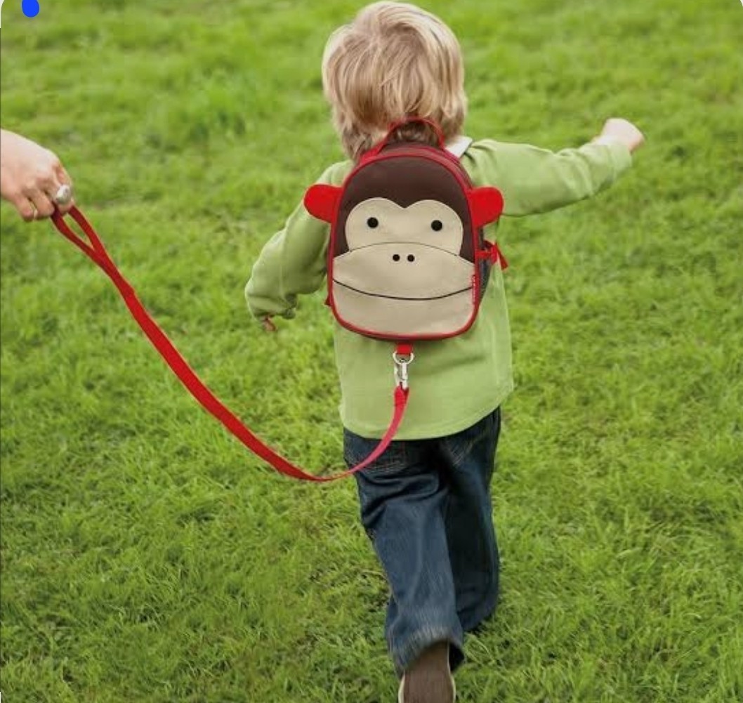 Skip Hop Toddler Leash and Harness