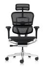 ErgoHuman High Back Swivel Chair