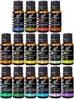 ArtNaturals Essential Oil Set