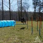 Lord Anson Dog Agility Set