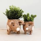 Handcrafted Pig Planter