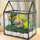 Glass Greenhouse Terrarium