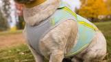 RUFFWEAR Swamp Cooler Dog Cooling Vest