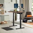 Vari Electric Standing Desk
