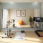 Mirror Home Gym