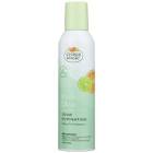 Citrus Magic Natural Odor Eliminating Air Freshener