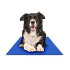 Chillz Cooling Mat for Dogs